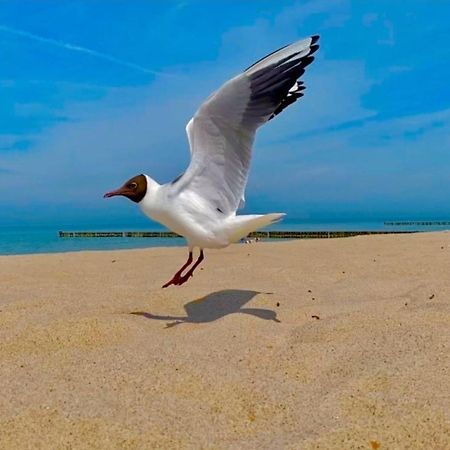 Ferienwohnung Zur Kuehlung Wittenbeck Dış mekan fotoğraf
